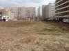 IMG_20150419_111554.jpg