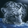 andrey_18